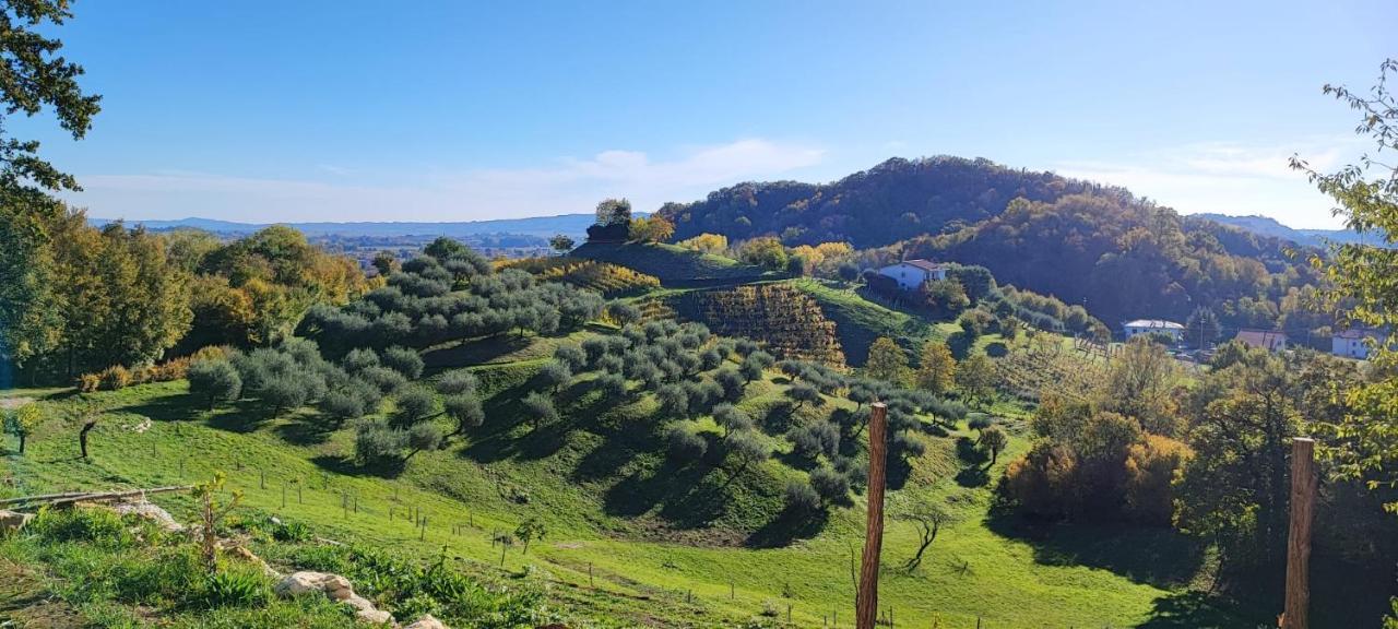 Terrazza San Vettore Maser Esterno foto